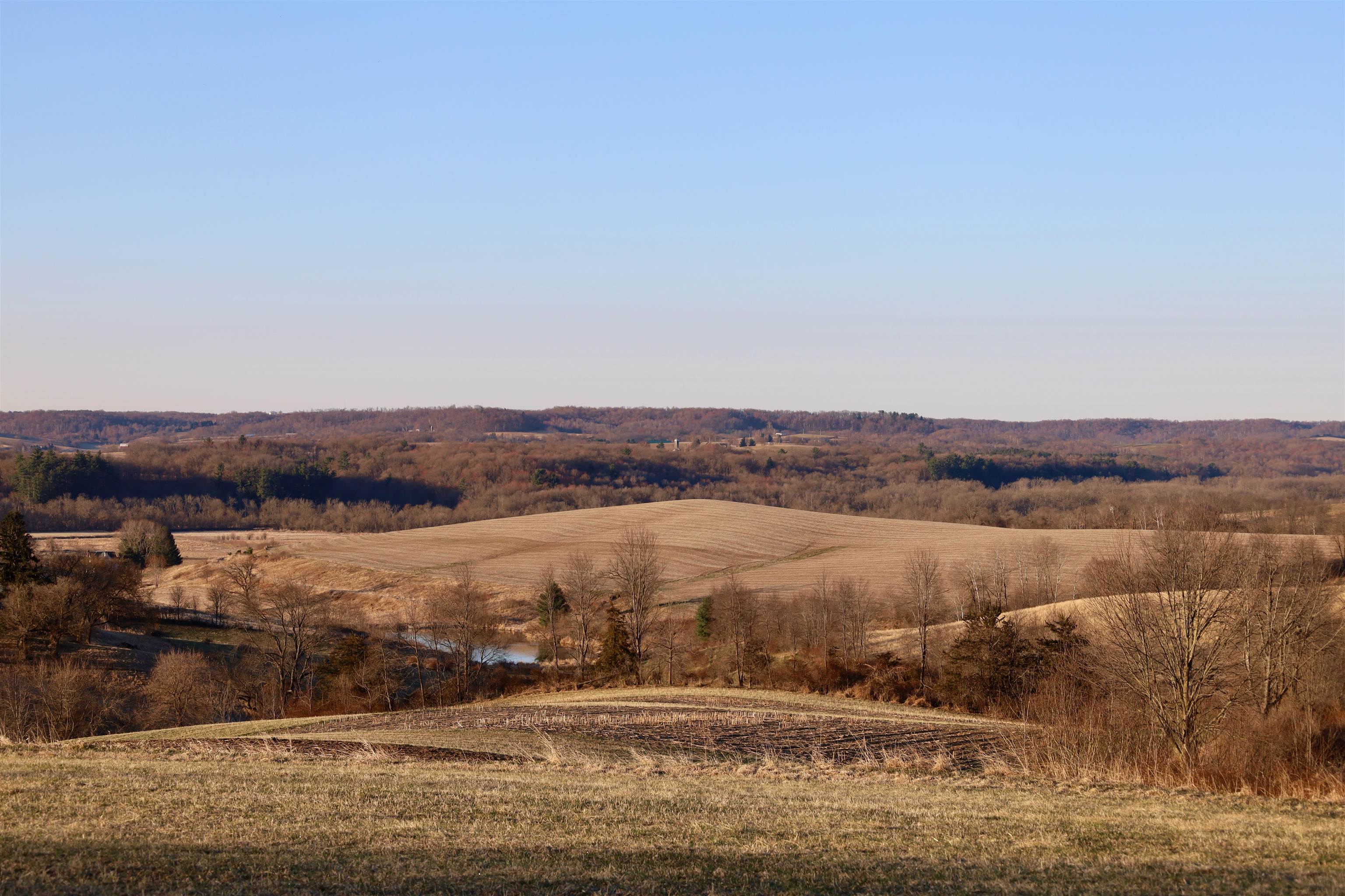 N1503 Raese Road Elroy, WI 53929 - Photo 65 of 69