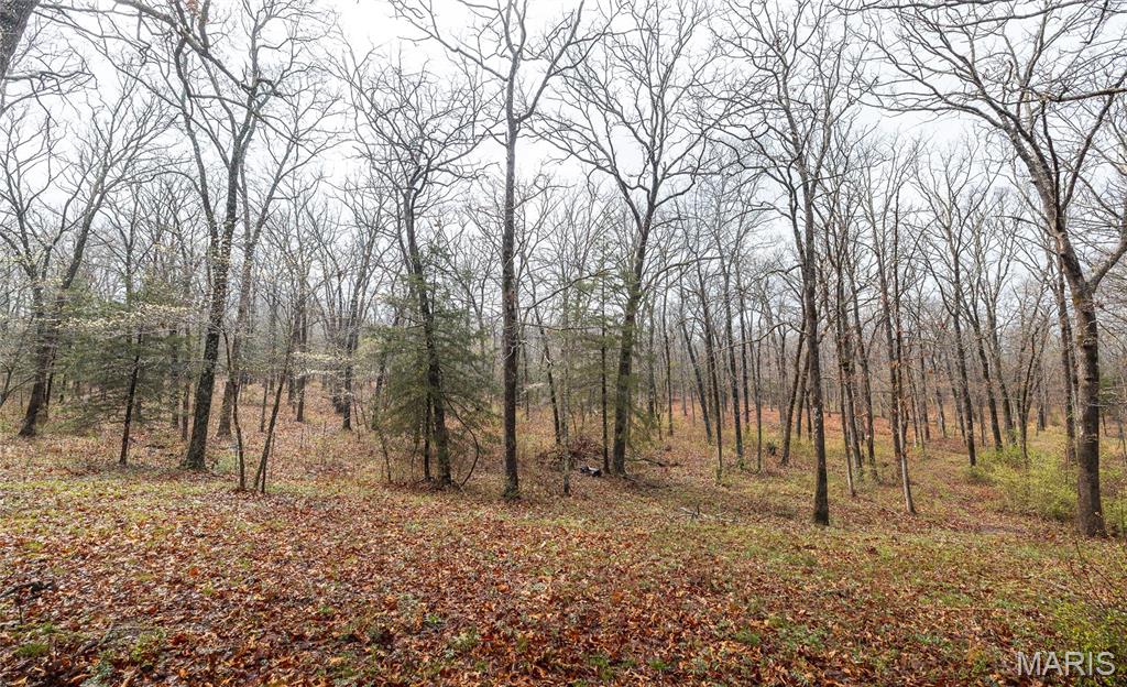 18763 State Rte B St. James, MO 65559 - Photo 20 of 24