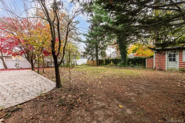 a view of a yard with plants and trees