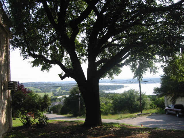 5916 Lago Vista Way, Unit B18 Lago Vista, TX 78645 - Photo 10 of 16 a view of a yard with street view