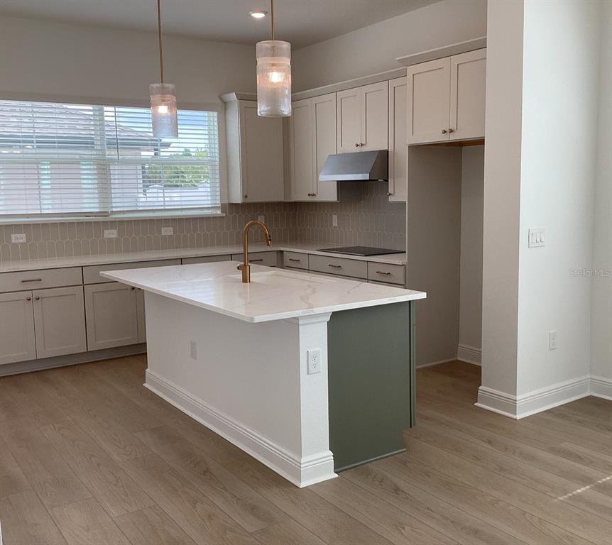 13407 Lemon Orchard Bend Windermere, FL 34786 - Photo 7 of 17