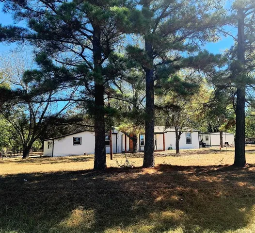 a view of yard with tree