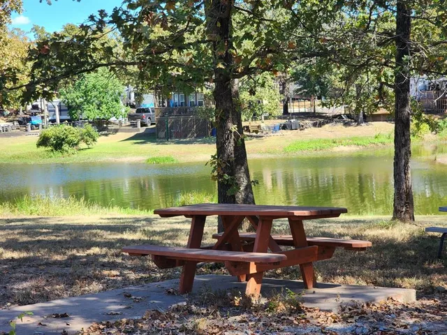 a view of a lake from a yard