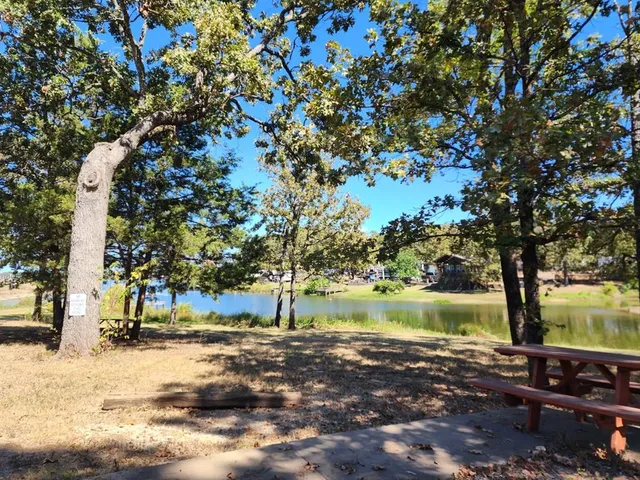 a view of a yard with an trees