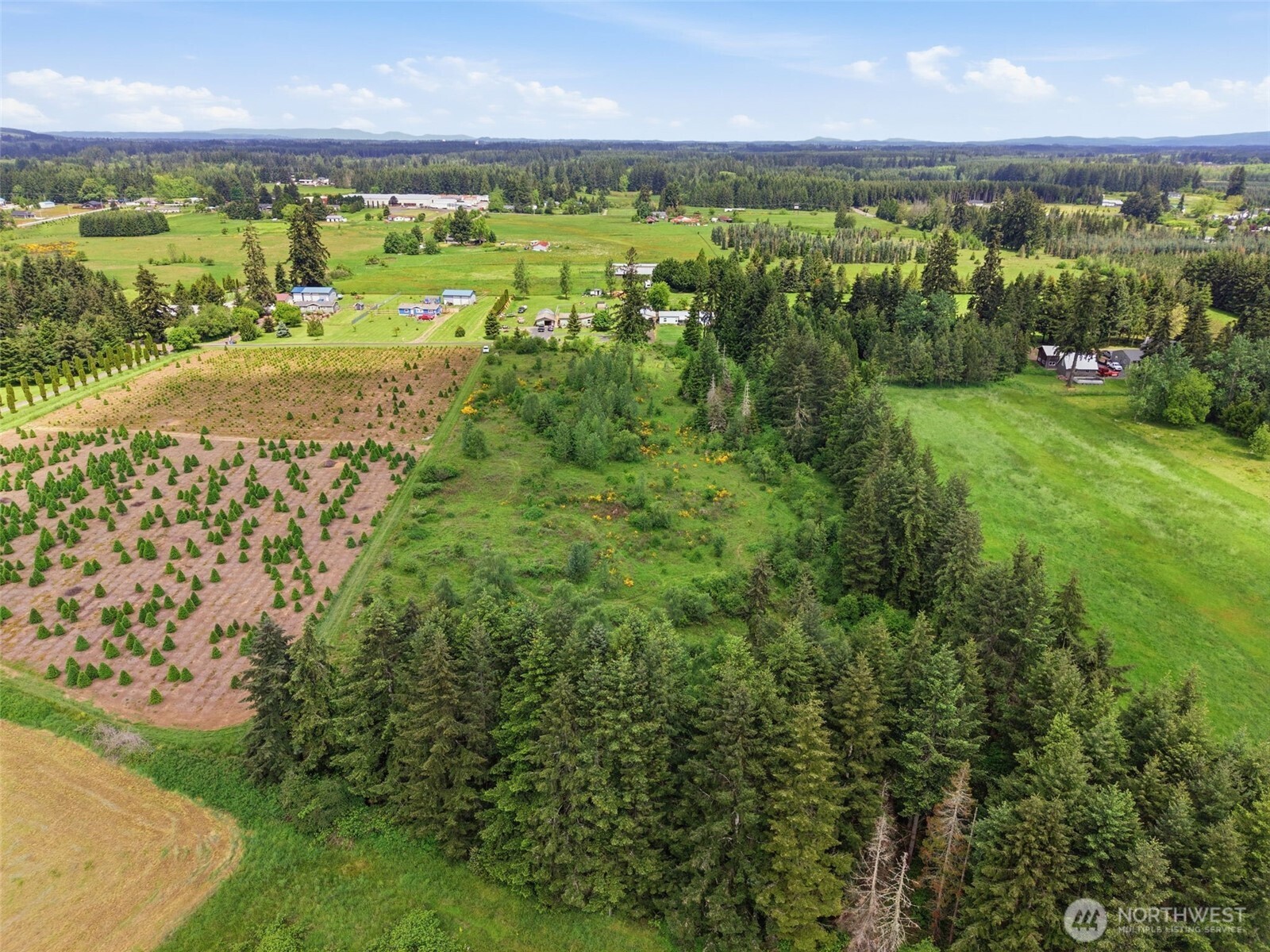 1 Shiloh Road Winlock, WA 98596 - Photo 10 of 12