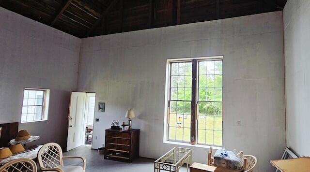 384 Point Road Hancock, ME 04640 - Photo 17 of 70 Art studio opening from screened porch.