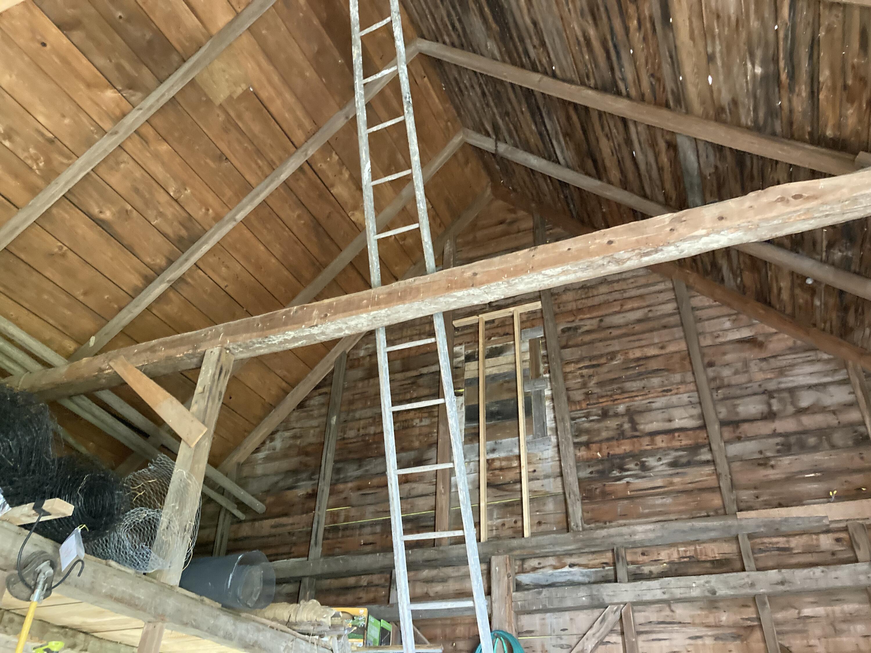 384 Point Road Hancock, ME 04640 - Photo 20 of 70 Barn roof and rafters.