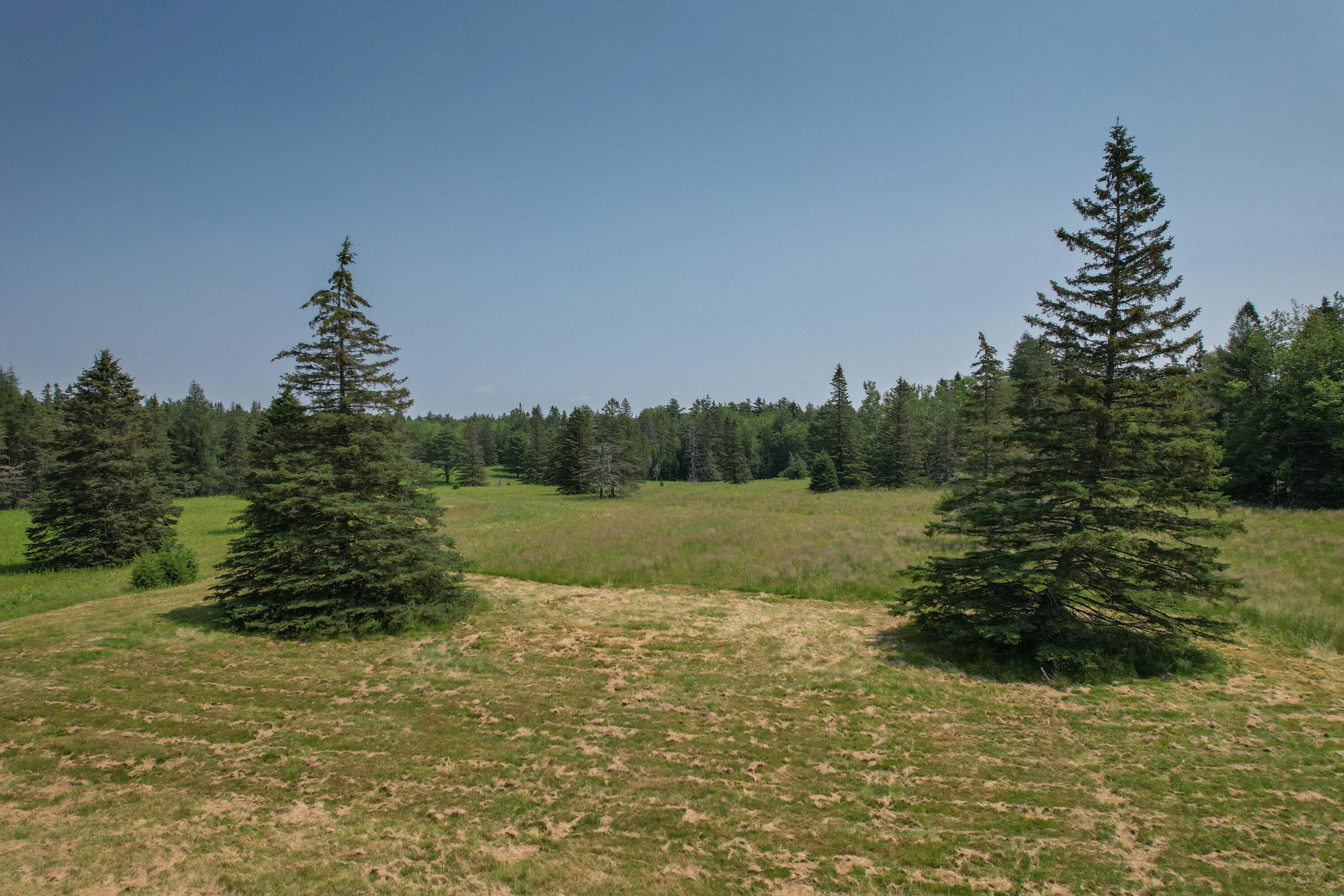 384 Point Road Hancock, ME 04640 - Photo 55 of 70 Back acreage behind barn.
