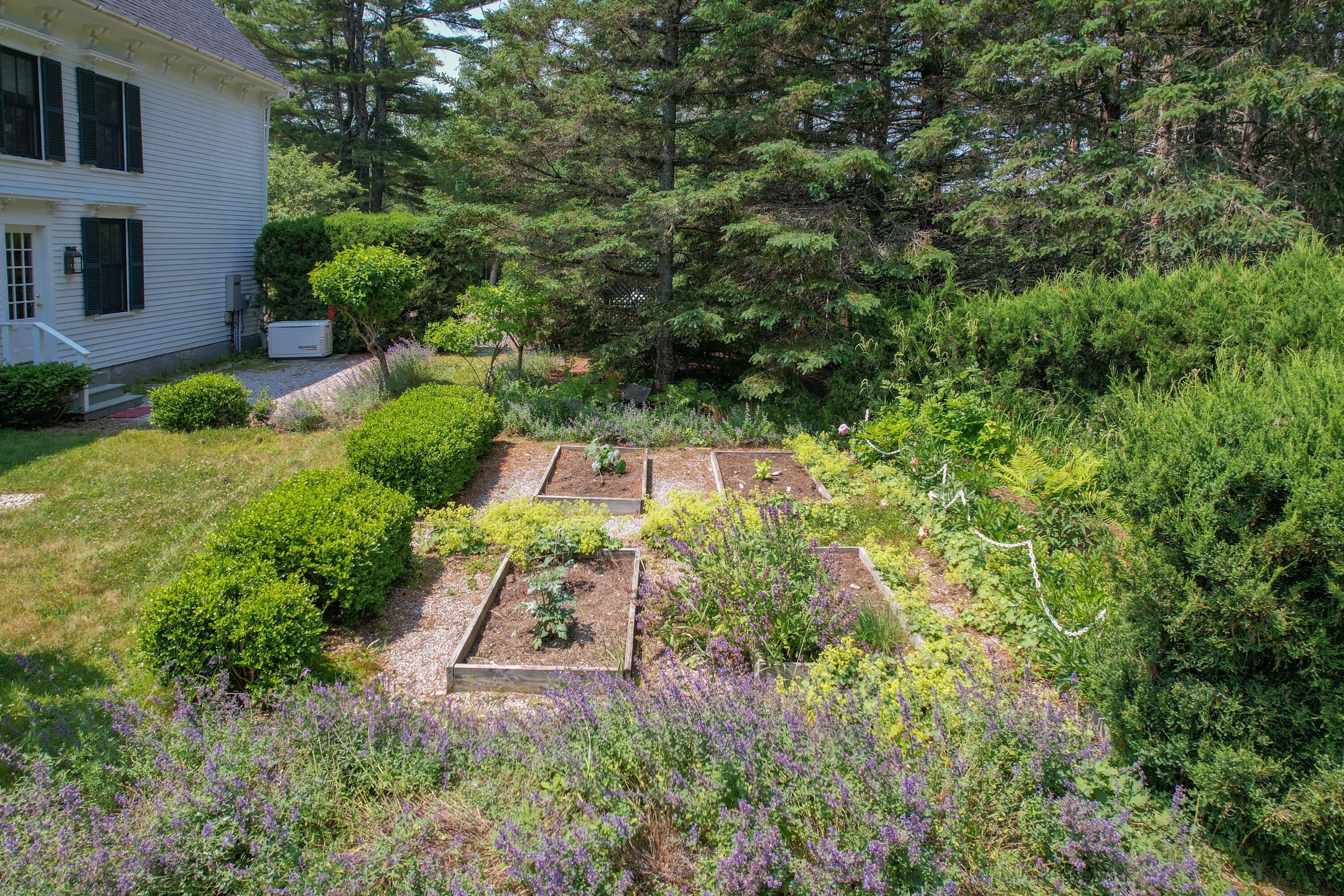 384 Point Road Hancock, ME 04640 - Photo 61 of 70 Nepeta lining the gardens.