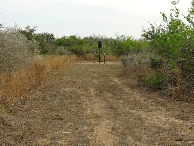 $425,000 | 0 Cr 309 Road, Encino, TX 78353