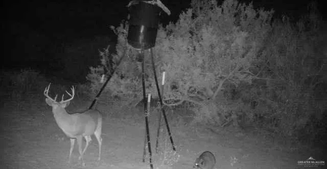 a close view of a shower in a bathroom
