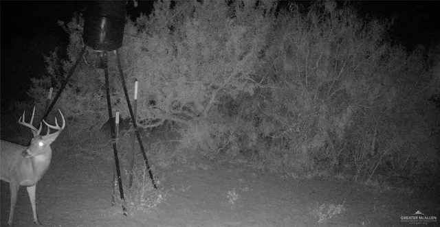 a view of a room with a wooden wall