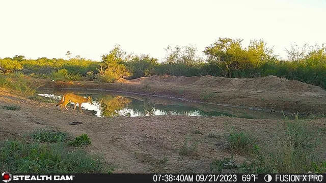 a view of a lake with a yard