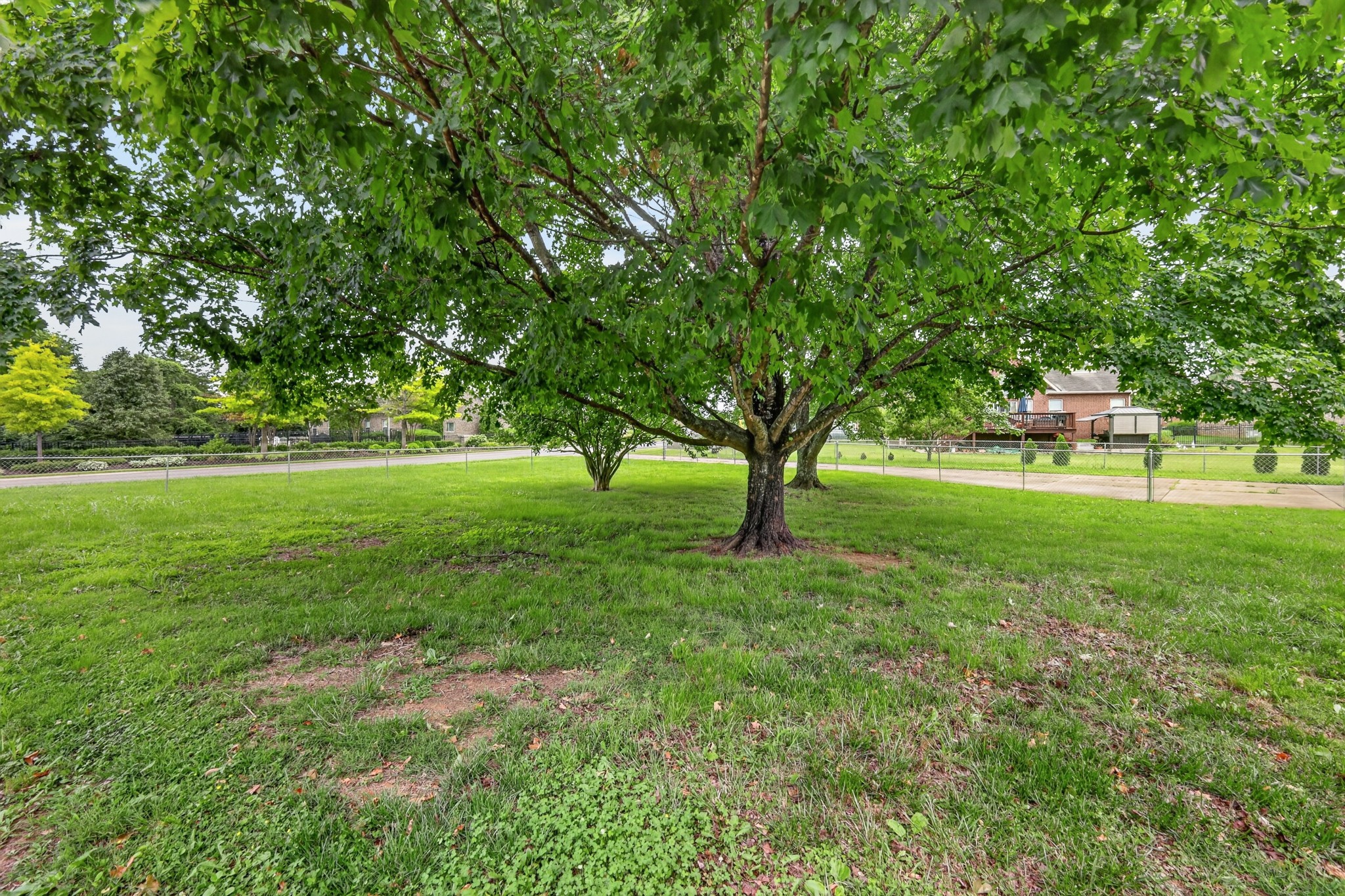 1015 Brinkley Road Murfreesboro, TN 37128 - Photo 10 of 48