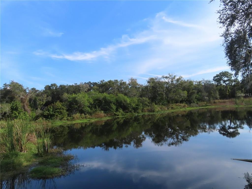 2625 Highway 590, Unit 1932 Clearwater, FL 33759 - Photo 14 of 14 a view of a lake