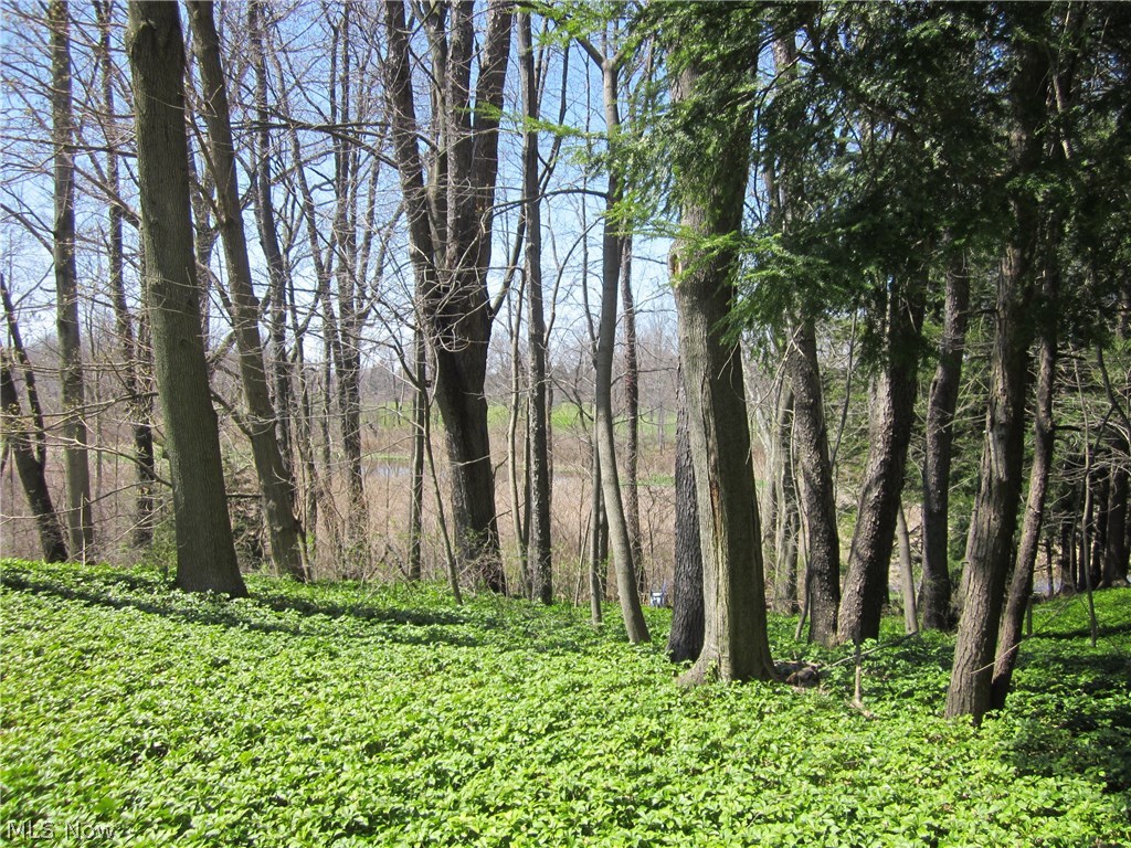 Westview Road Kent, OH 44240 - Photo 3 of 10 Gallery Image 3
