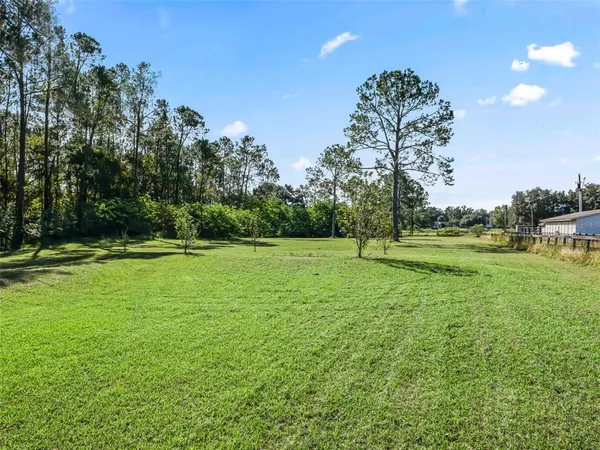 a view of a park with large trees