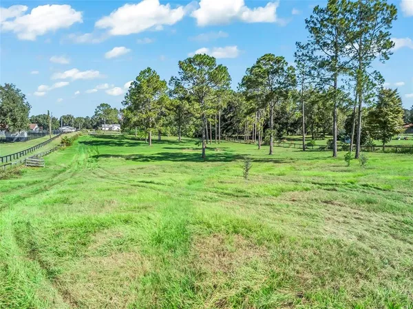 a view of a lush green field