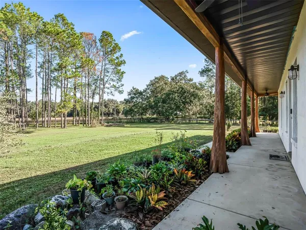 a view of a pathway with a yard