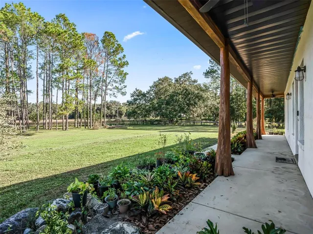 a view of a pathway with a yard