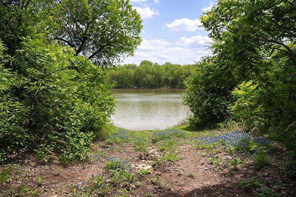 9509 Valley View Trail Rio Vista, TX 76093 - Photo 28 of 29 Bluebonnets & Brazos