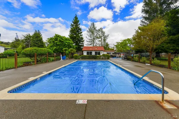 a view of a park with large trees