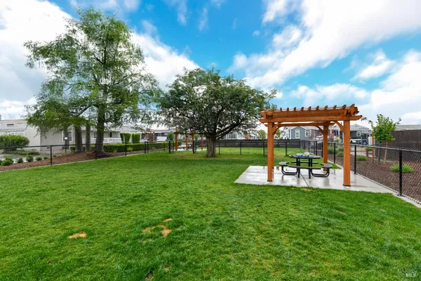 a view of a park with large trees