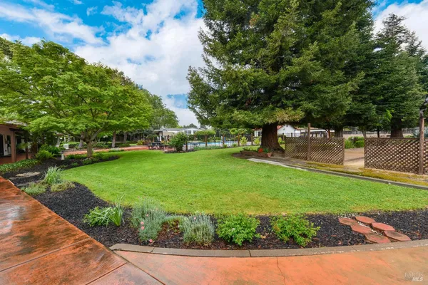 a view of a garden with a fountain