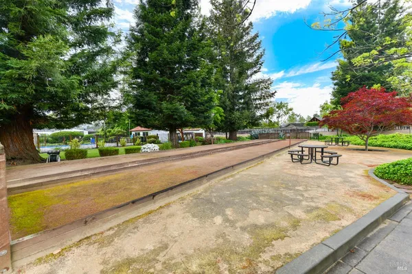 a street view with tall trees