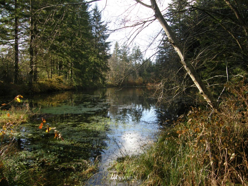 6409 Manor Road Aberdeen, WA 98520 - Photo 14 of 25 Gallery Image 14