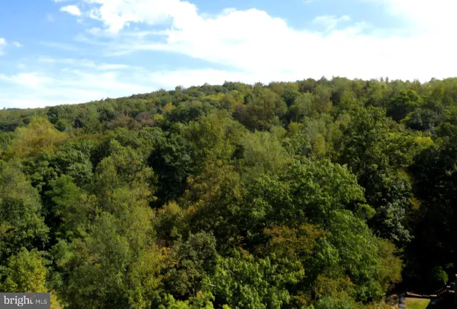 $18,500 | 0 Parkside Road, Linden, VA 22642