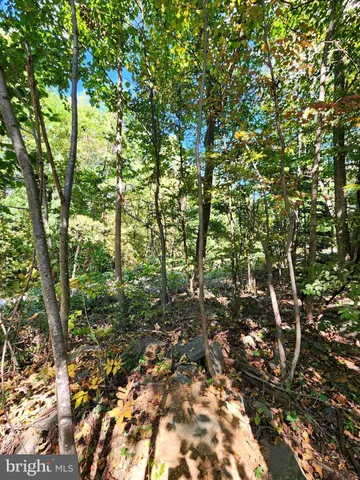 $18,500 | 0 Parkside Road, Linden, VA 22642