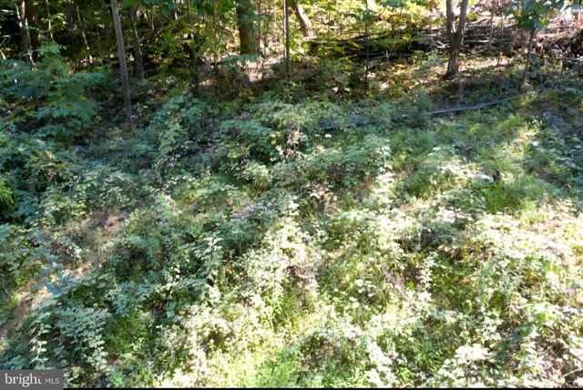 $18,500 | 0 Parkside Road, Linden, VA 22642