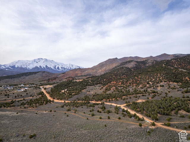 5458 Cougar Run Fairview, UT 84629 - Photo 20 of 21 Mountain view