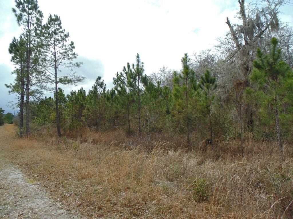 Vacant Southwest San Pedro Road, Unit XX Madison, FL 32340 - Photo 1 of 16 Gallery Image 1