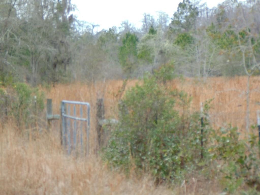 Vacant Southwest San Pedro Road, Unit XX Madison, FL 32340 - Photo 13 of 16 Gallery Image 13