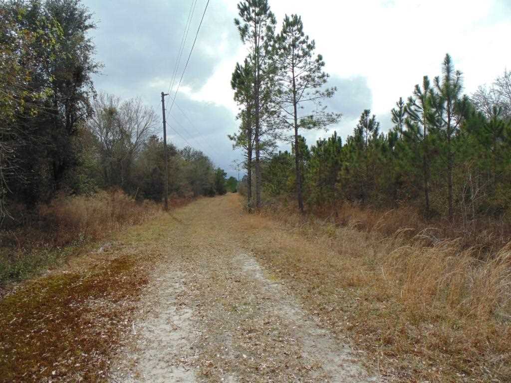 Vacant Southwest San Pedro Road, Unit XX Madison, FL 32340 - Photo 2 of 16 Gallery Image 2