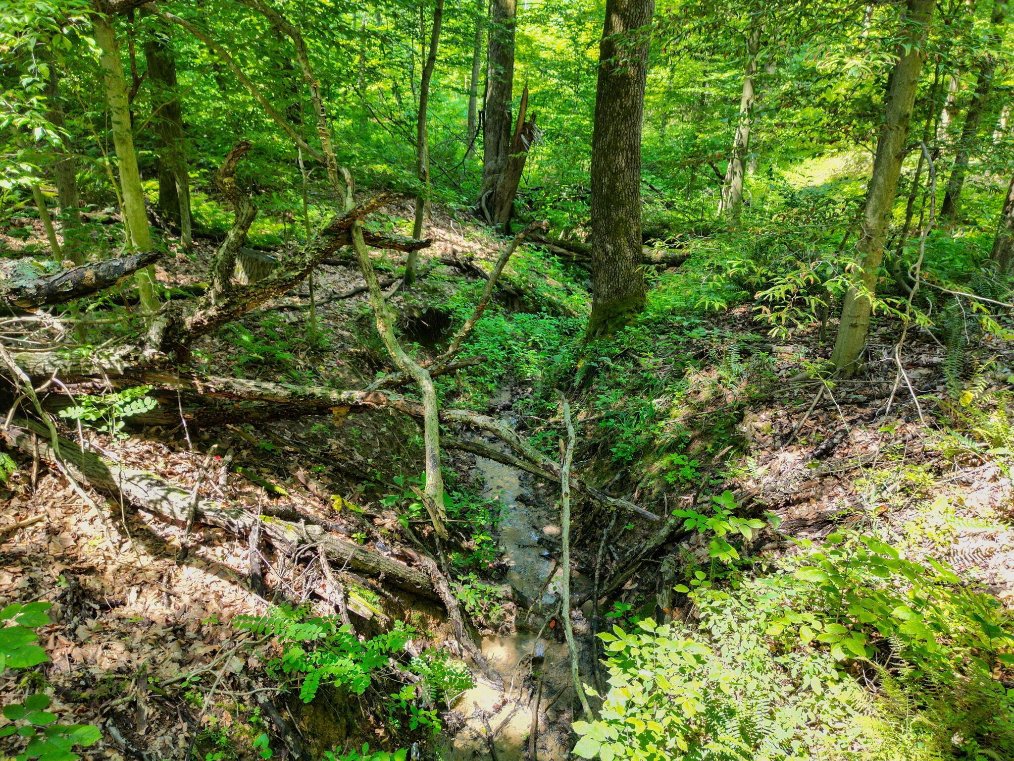 8935 Bagley Road Mount Perry, OH 43760 - Photo 62 of 79 58-web-or-mls-8935-bagley-rd