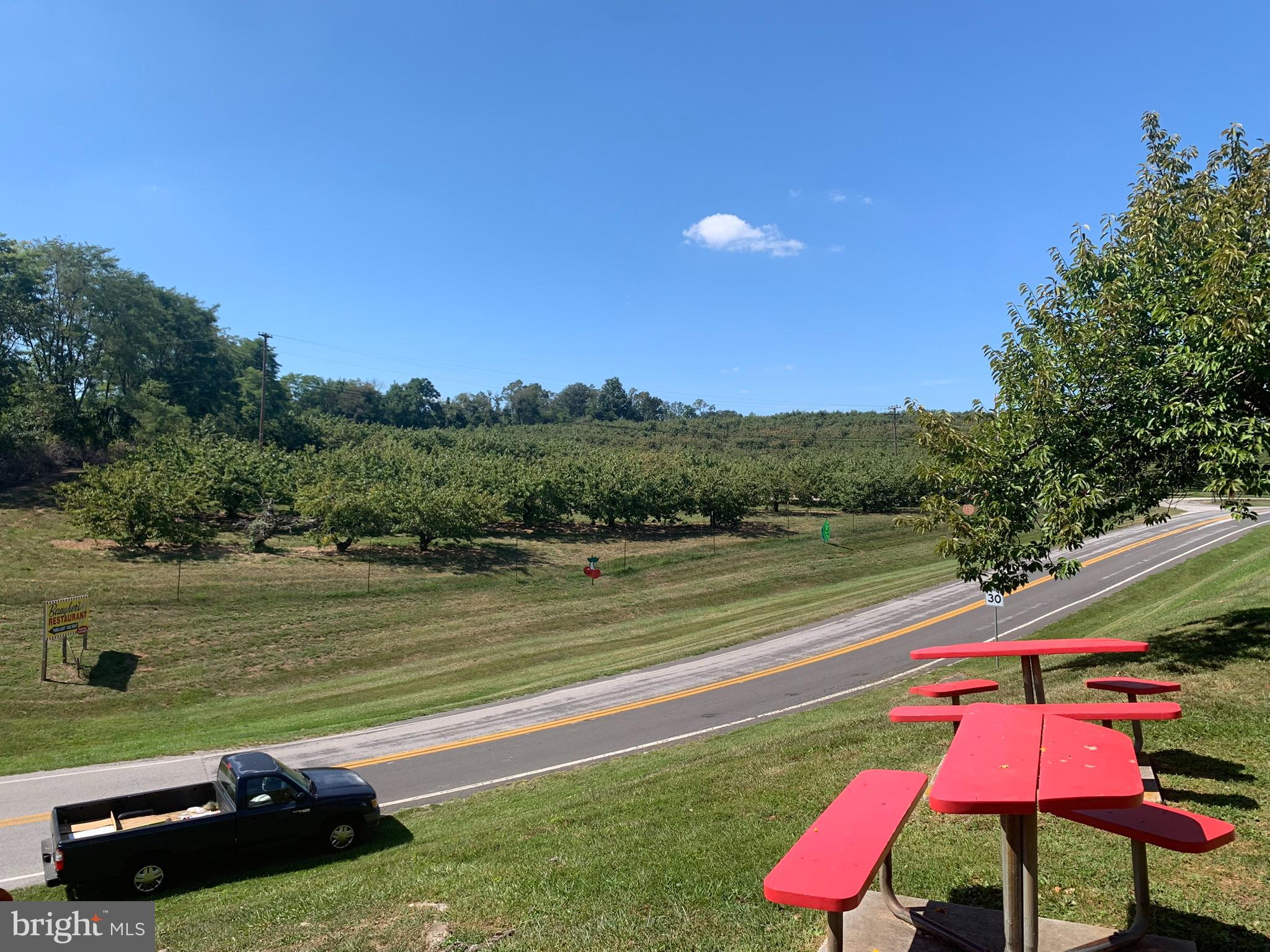 2035 Old Taneytown Road Westminster, MD 21158 - Photo 43 of 47 Five minutes away, pick your own.