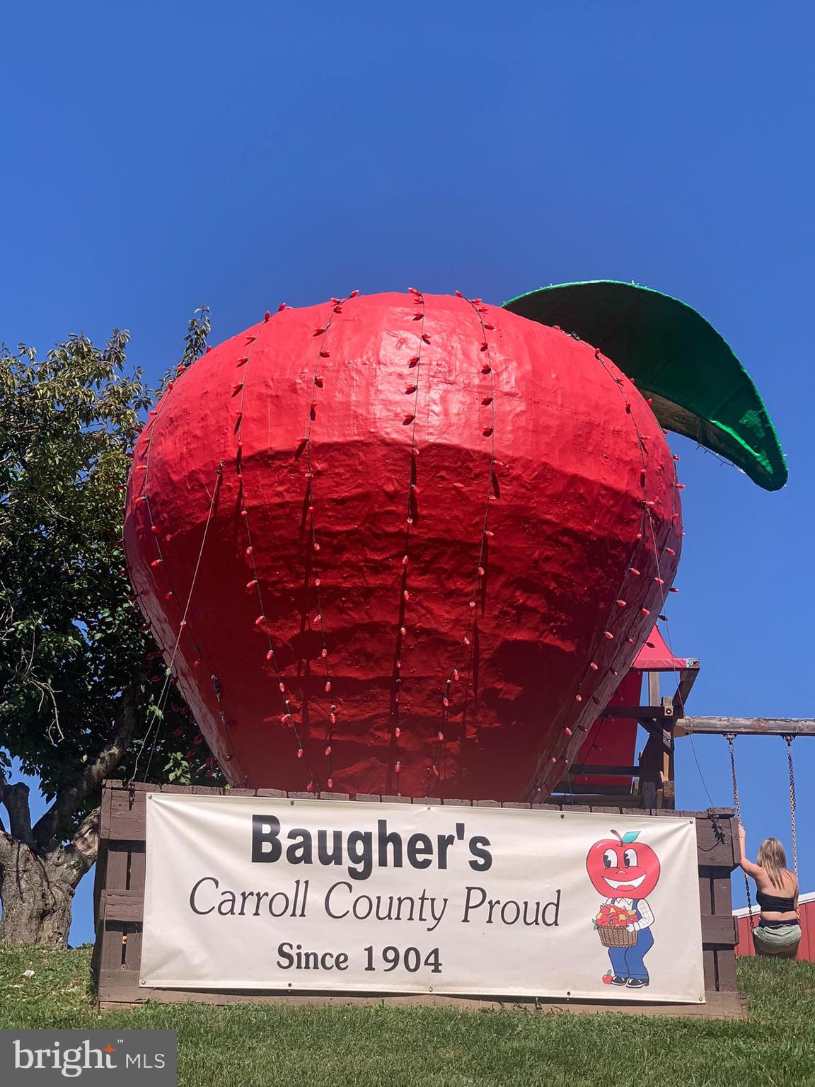 2035 Old Taneytown Road Westminster, MD 21158 - Photo 45 of 47 What a treat!