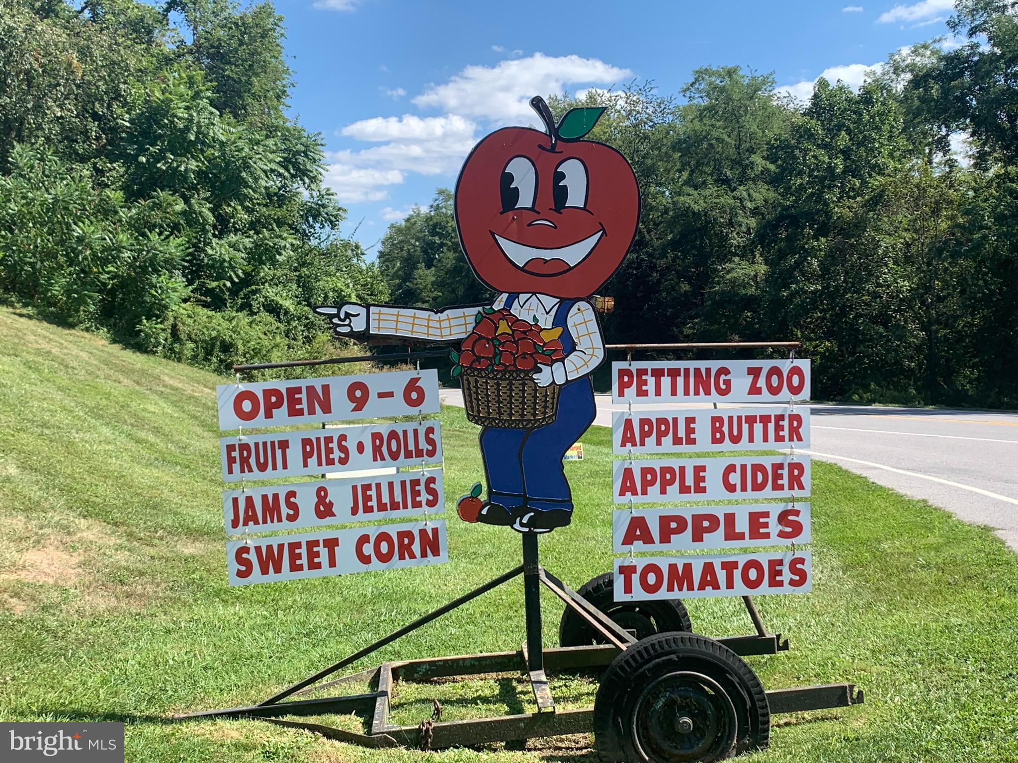 2035 Old Taneytown Road Westminster, MD 21158 - Photo 46 of 47 So close to home.