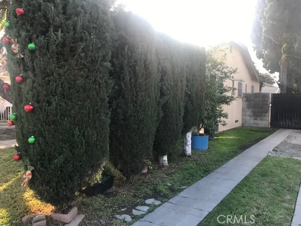 a view of a back yard