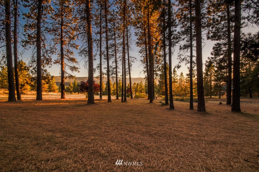 61 Teanaway Ridge Way Cle Elum, WA 98922 - Photo 22 of 22 Gallery Image 22