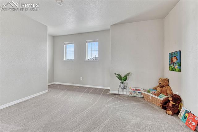 1334 Diamond Rim Drive Colorado Springs, CO 80921 - Photo 24 of 46 Loft