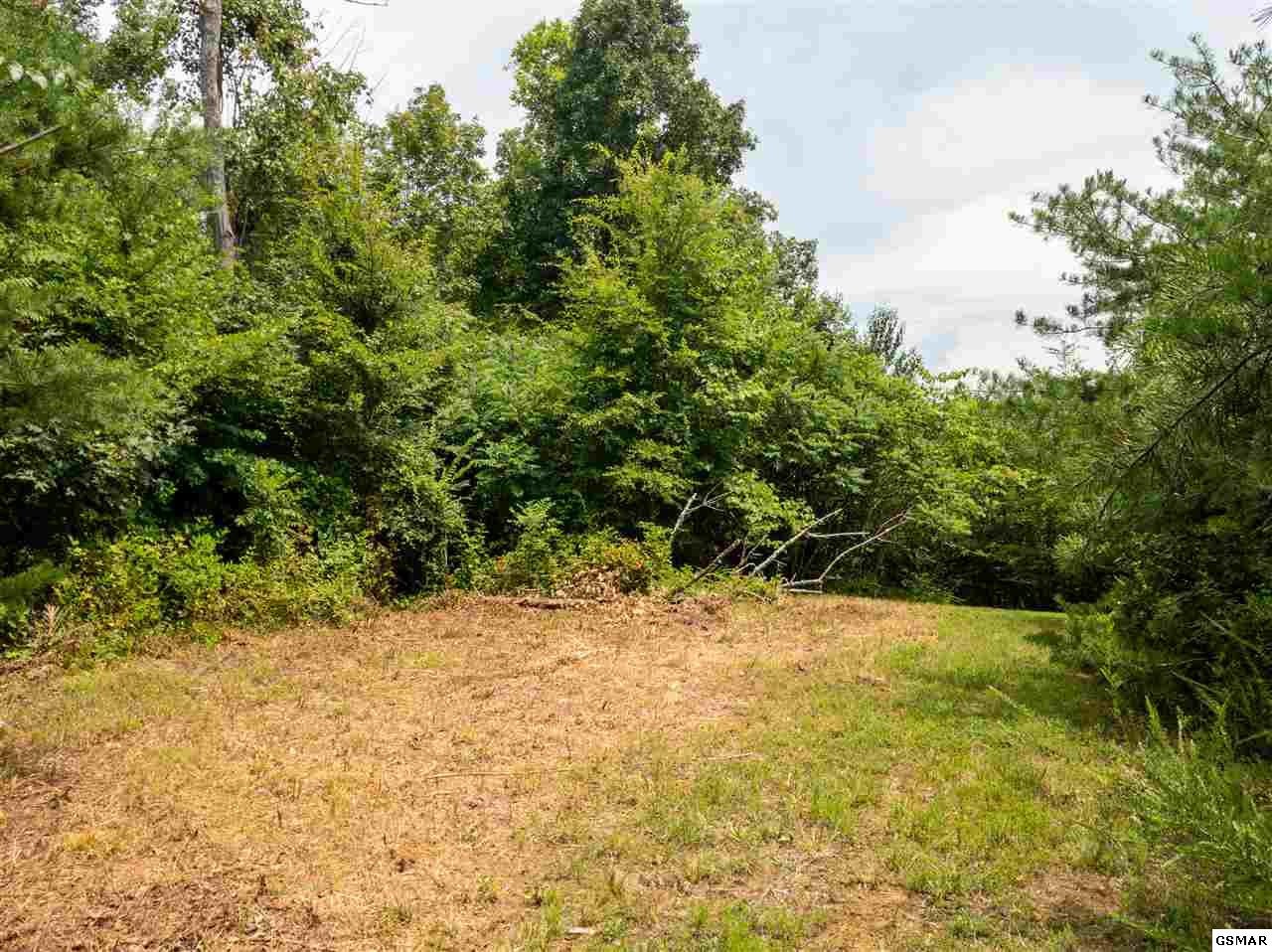11 Pleasure Road Sevierville, TN 37876 - Photo 14 of 21