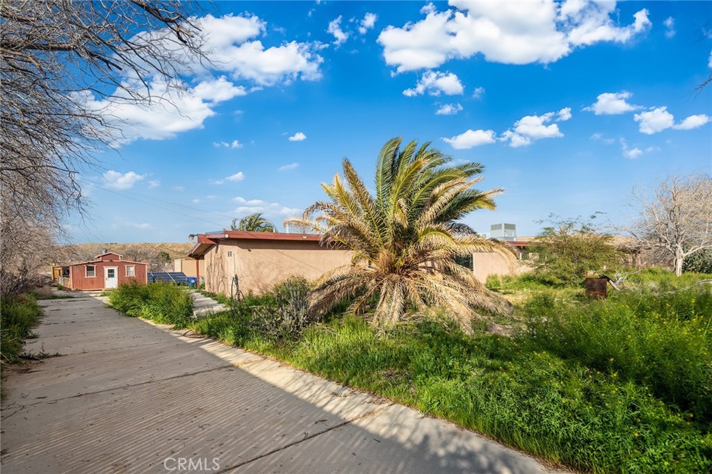 31516 Clay River Road Barstow, CA 92311 - Photo 50 of 73 a view of a flower