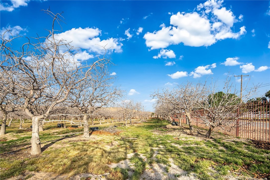 31516 Clay River Road Barstow, CA 92311 - Photo 53 of 73