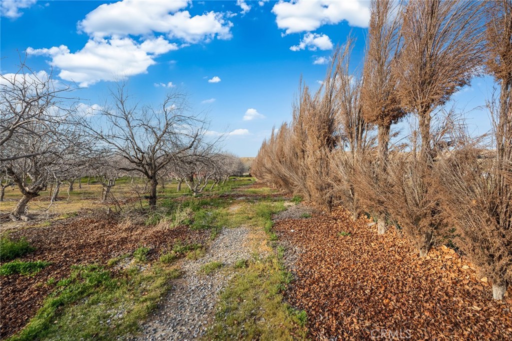 31516 Clay River Road Barstow, CA 92311 - Photo 54 of 73