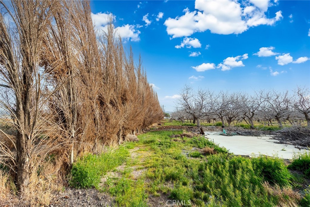 31516 Clay River Road Barstow, CA 92311 - Photo 55 of 73