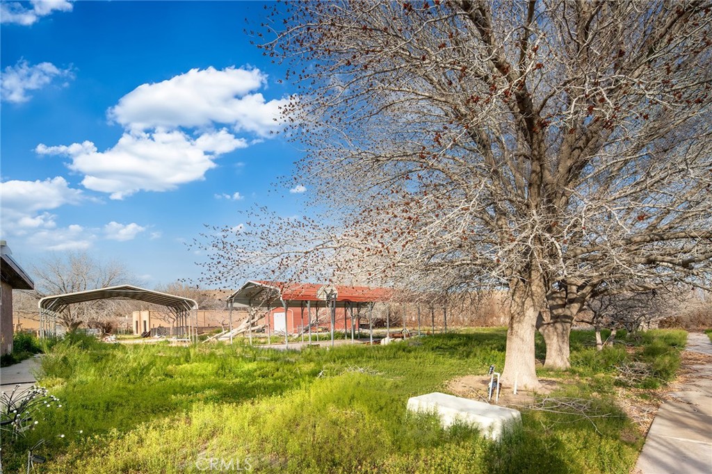 31516 Clay River Road Barstow, CA 92311 - Photo 61 of 73 a backyard of a house with lots of green space
